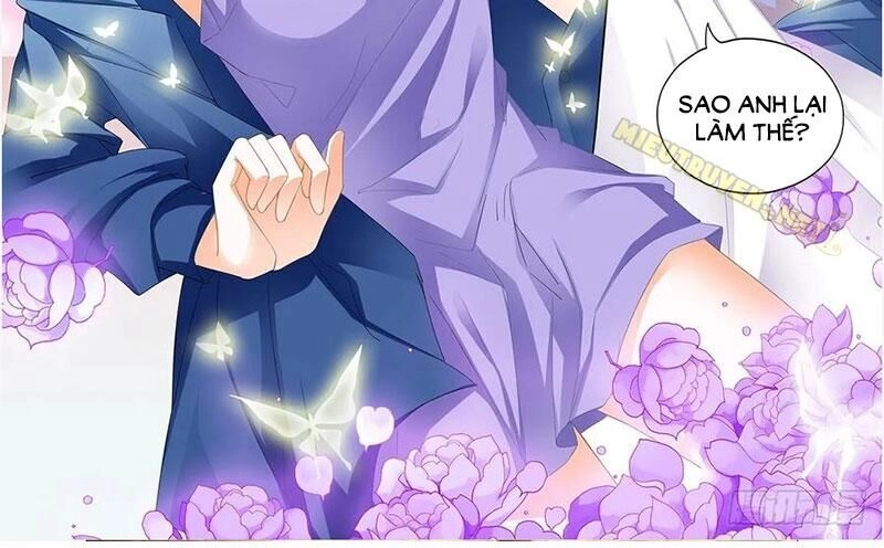 Thiểm Hôn Kiều Thê Chapter 269 - 5