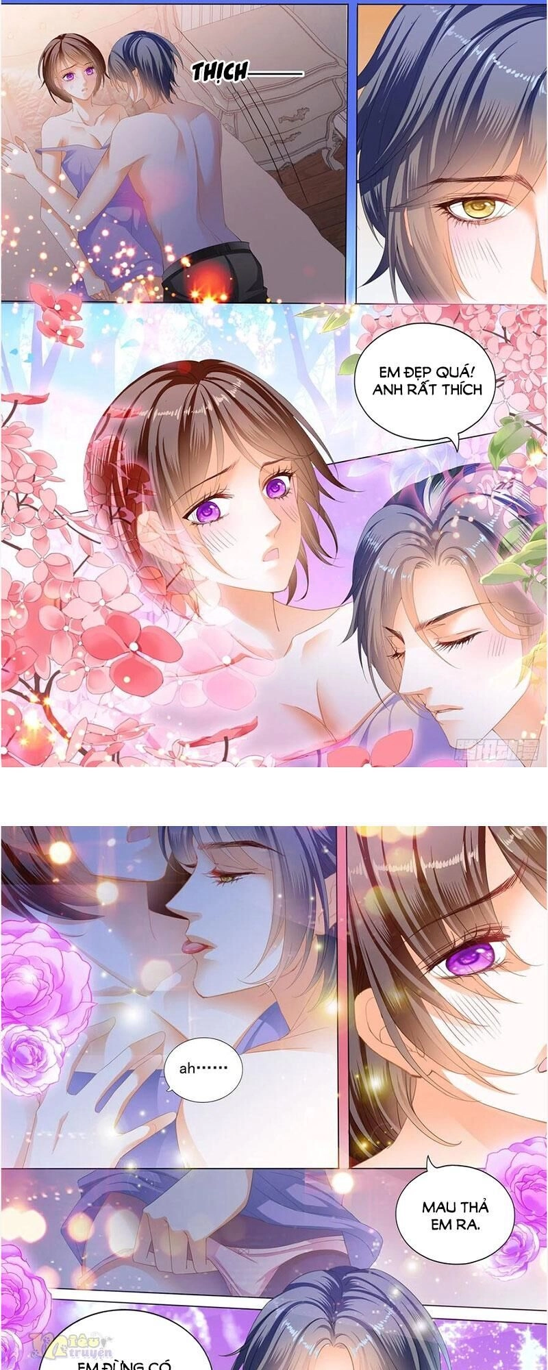 Thiểm Hôn Kiều Thê Chapter 269 - 10