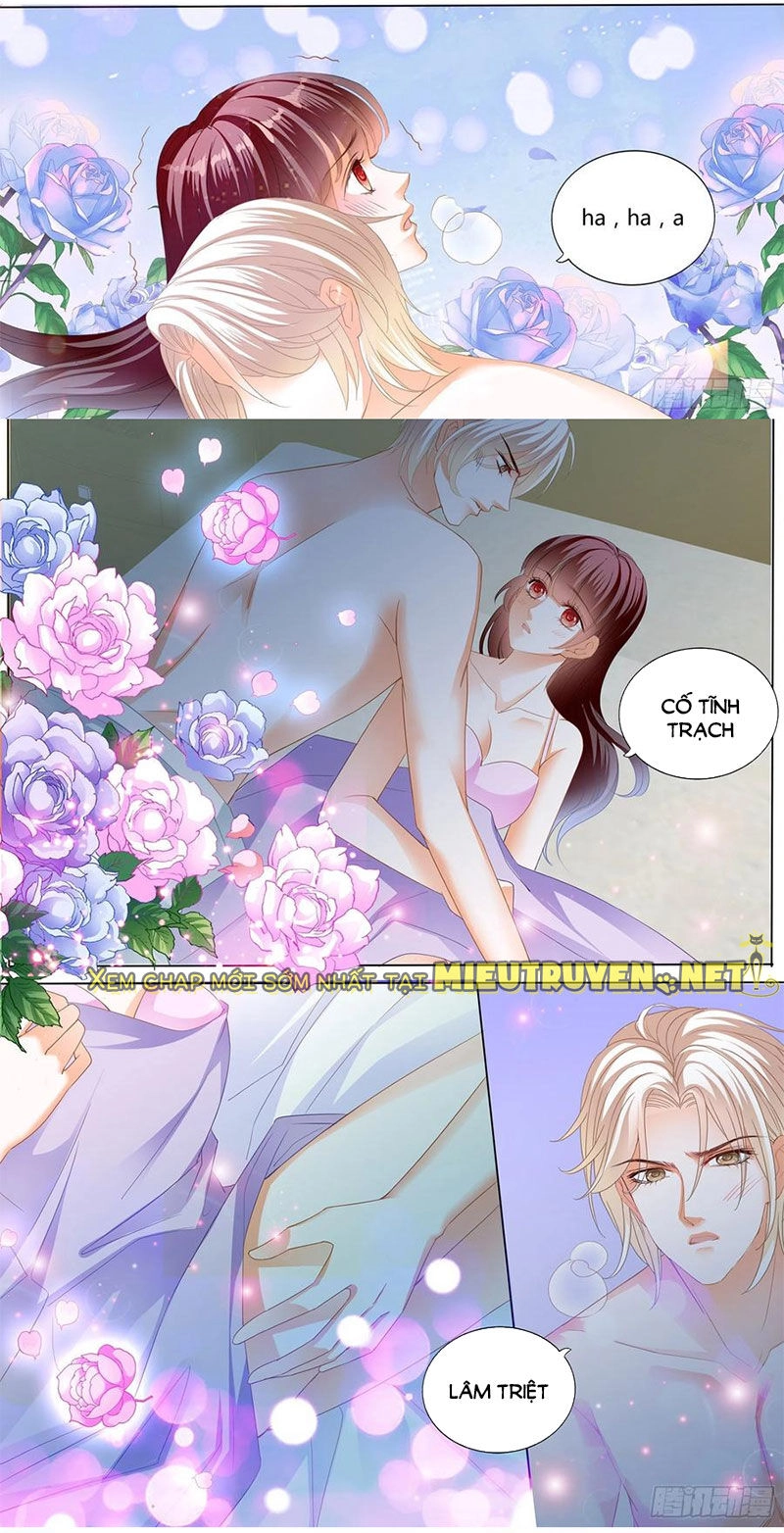 Thiểm Hôn Kiều Thê Chapter 275 - 4