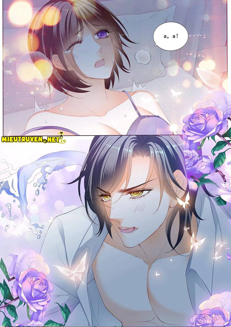 Thiểm Hôn Kiều Thê Chapter 277 - 6