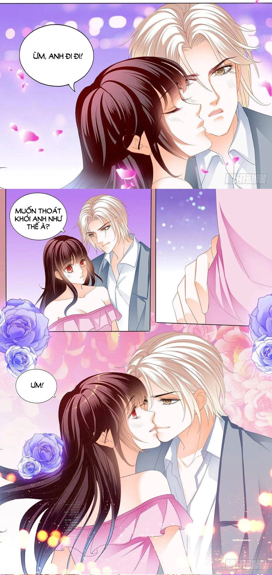 Thiểm Hôn Kiều Thê Chapter 278 - 6