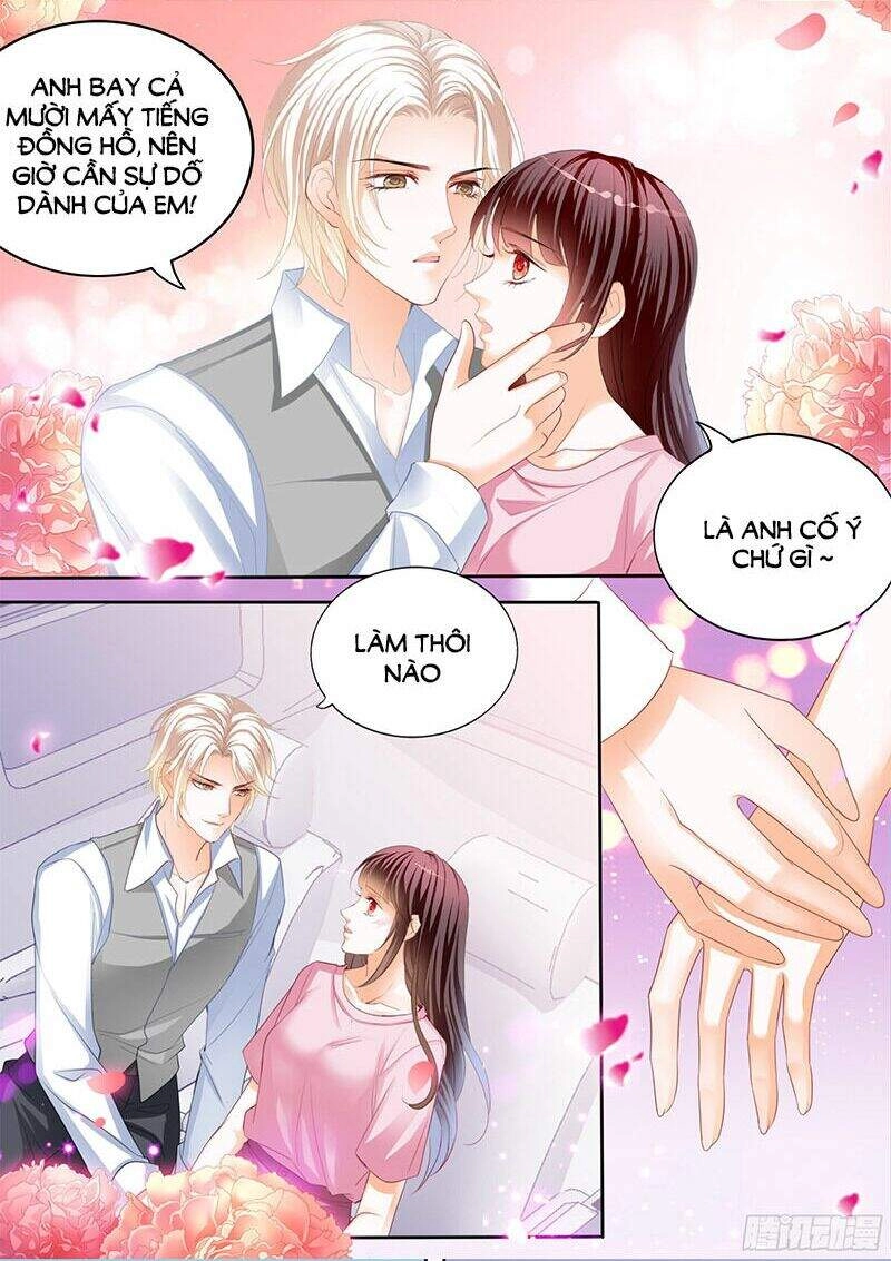 Thiểm Hôn Kiều Thê Chapter 305 - 4