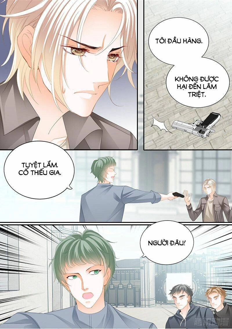 Thiểm Hôn Kiều Thê Chapter 311 - 10