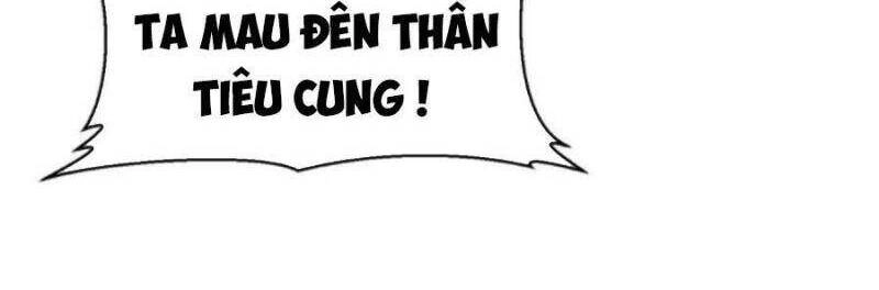 Tiên Vương Trùng Sinh Chapter 385 - 13