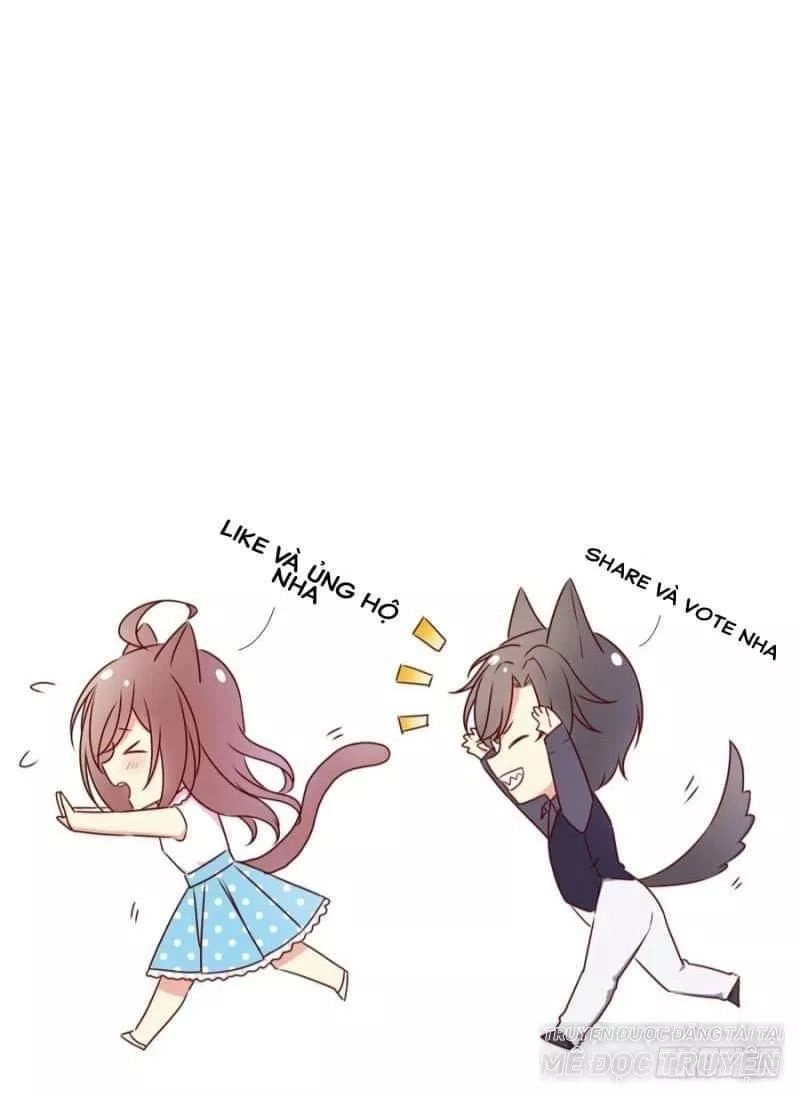 Nam Thần Truy Thê Chỉ Nam Chapter 5 - 56