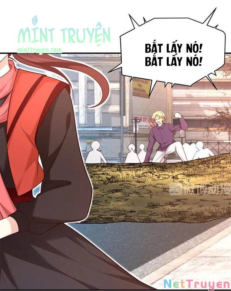 Nam Thần Truy Thê Chỉ Nam Chapter 99.1 - 12