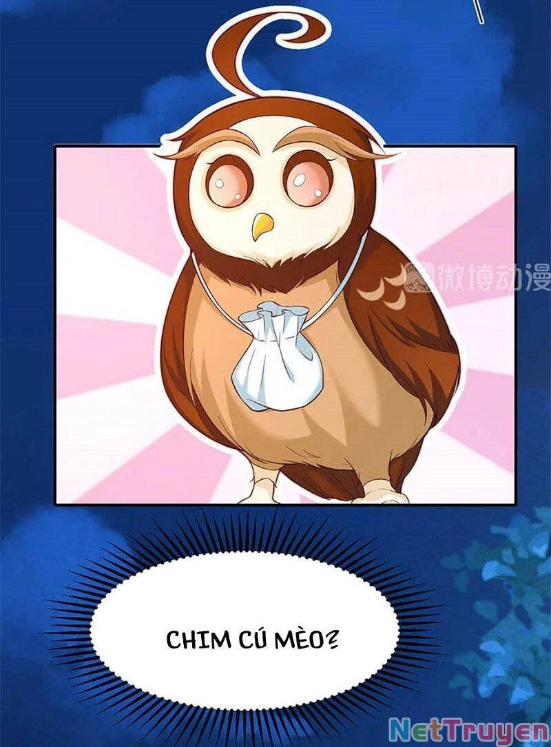 Nam Thần Truy Thê Chỉ Nam Chapter 106.2 - 5