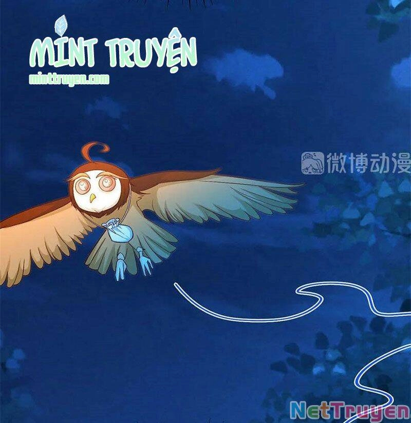 Nam Thần Truy Thê Chỉ Nam Chapter 106.2 - 6