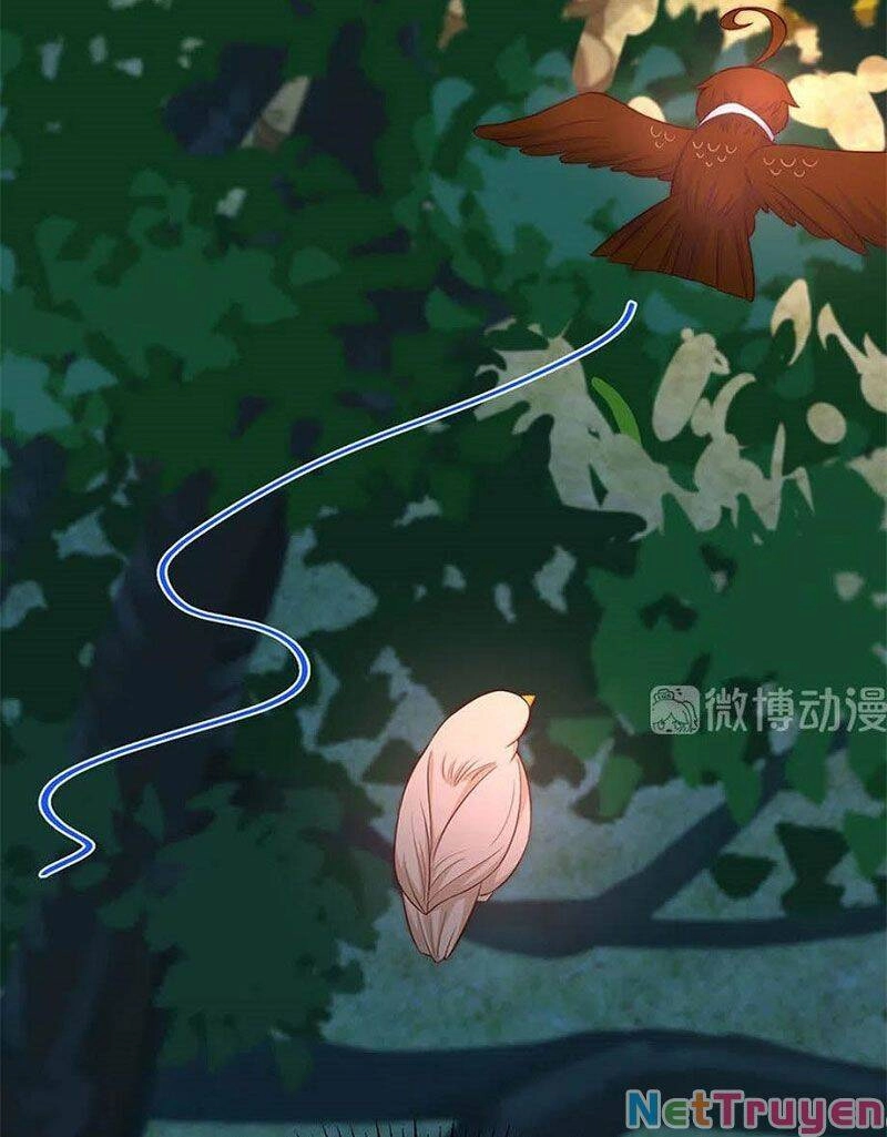 Nam Thần Truy Thê Chỉ Nam Chapter 106.2 - 28