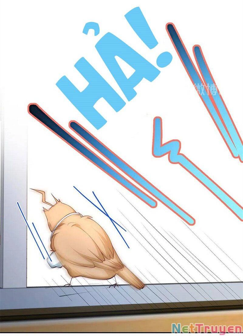 Nam Thần Truy Thê Chỉ Nam Chapter 107.1 - 4