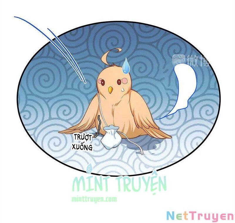 Nam Thần Truy Thê Chỉ Nam Chapter 107.1 - 5