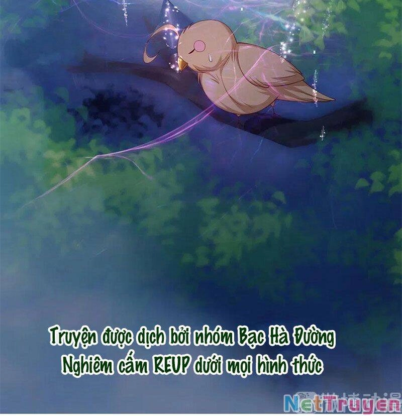 Nam Thần Truy Thê Chỉ Nam Chapter 107.2 - 6