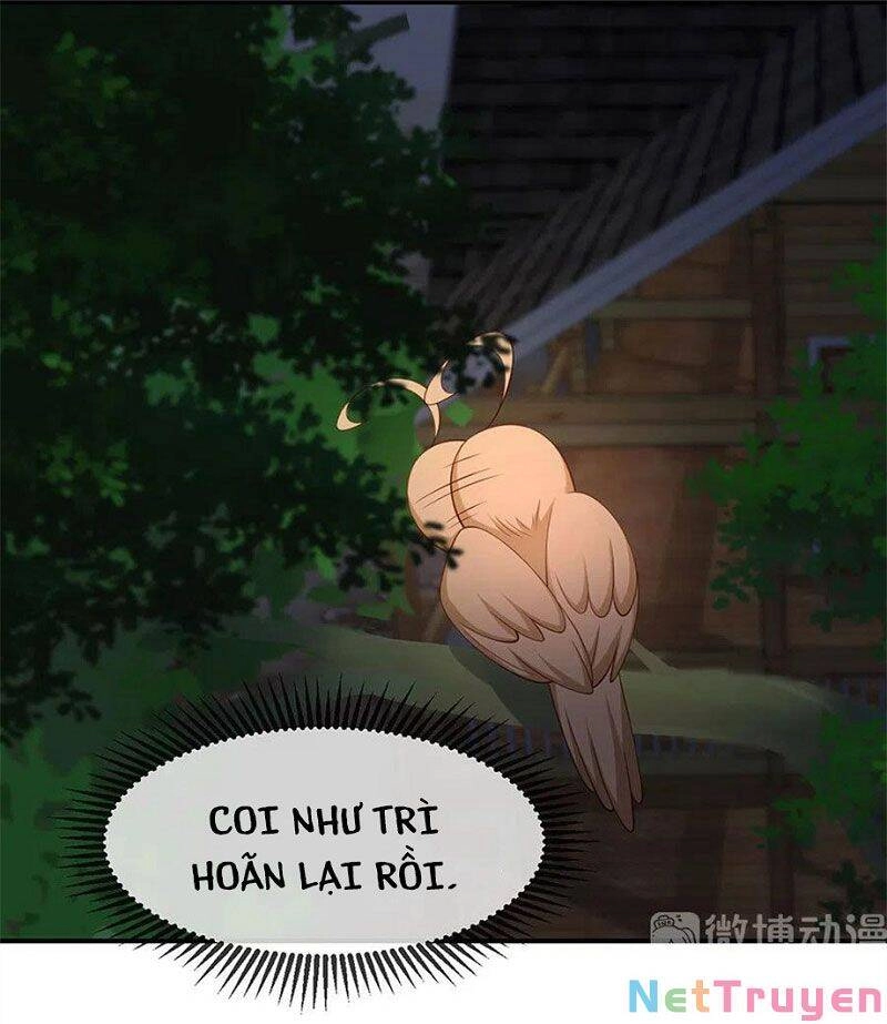 Nam Thần Truy Thê Chỉ Nam Chapter 107.2 - 7