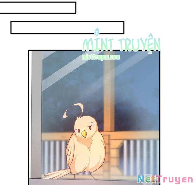 Nam Thần Truy Thê Chỉ Nam Chapter 107.2 - 14