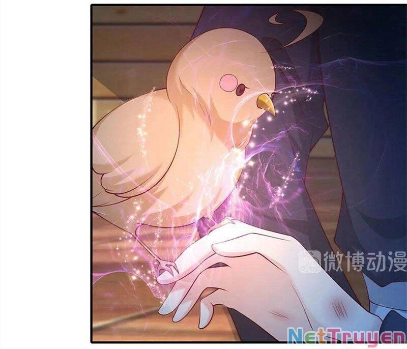 Nam Thần Truy Thê Chỉ Nam Chapter 107.2 - 18