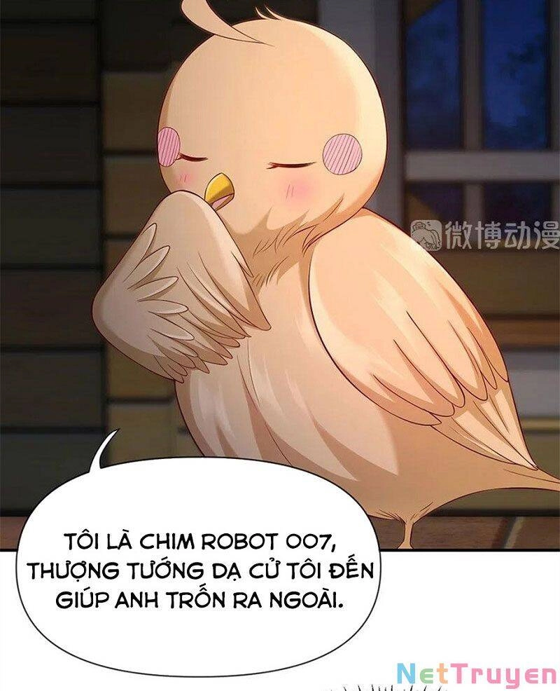 Nam Thần Truy Thê Chỉ Nam Chapter 108.1 - 3