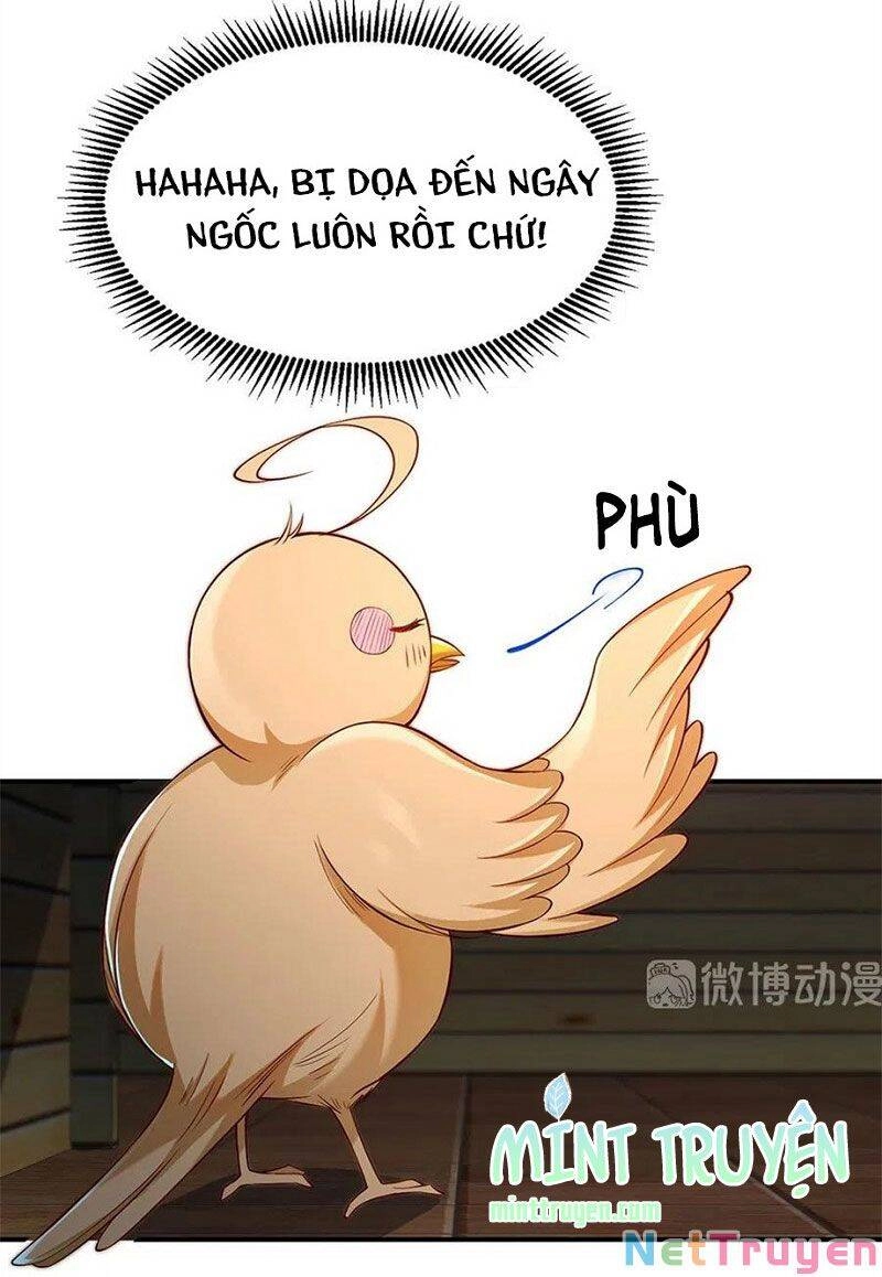 Nam Thần Truy Thê Chỉ Nam Chapter 108.1 - 8