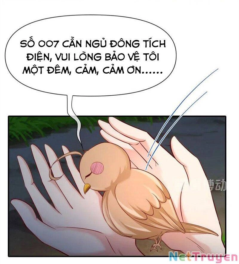 Nam Thần Truy Thê Chỉ Nam Chapter 108.1 - 23