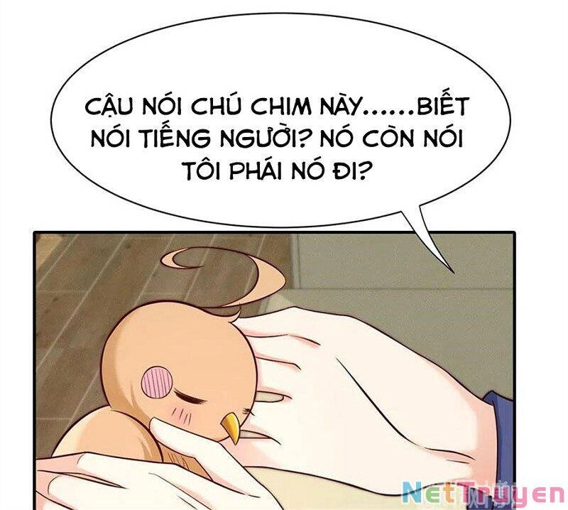 Nam Thần Truy Thê Chỉ Nam Chapter 108.2 - 15