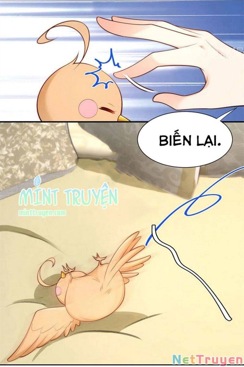 Nam Thần Truy Thê Chỉ Nam Chapter 109.1 - 6