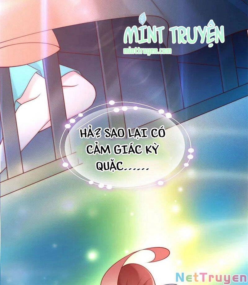 Nam Thần Truy Thê Chỉ Nam Chapter 112.2 - 3