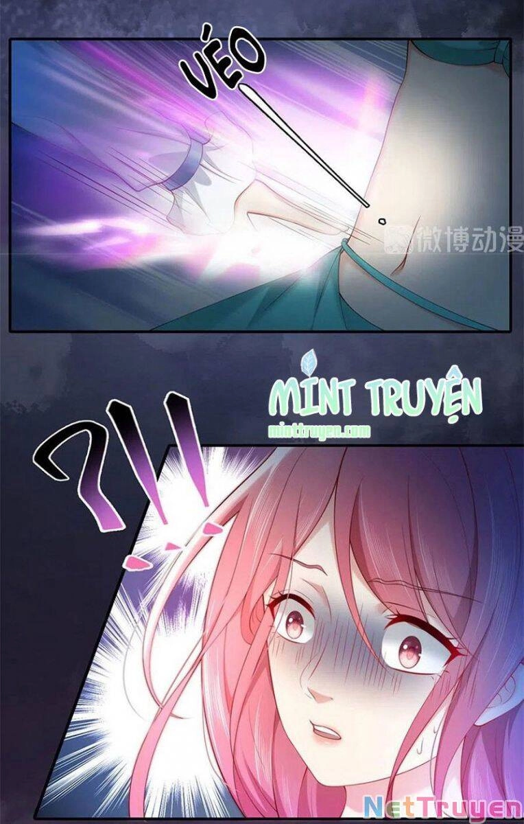 Nam Thần Truy Thê Chỉ Nam Chapter 114.1 - 8