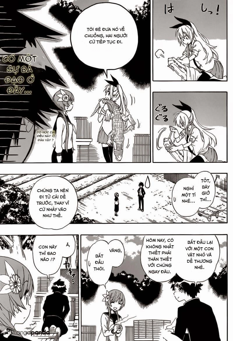 Tình Yêu Giả Tạo Chapter 142 - 13