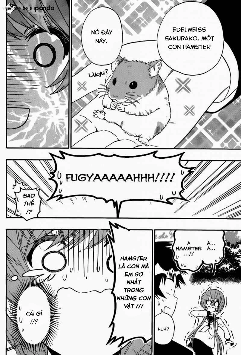 Tình Yêu Giả Tạo Chapter 142 - 14