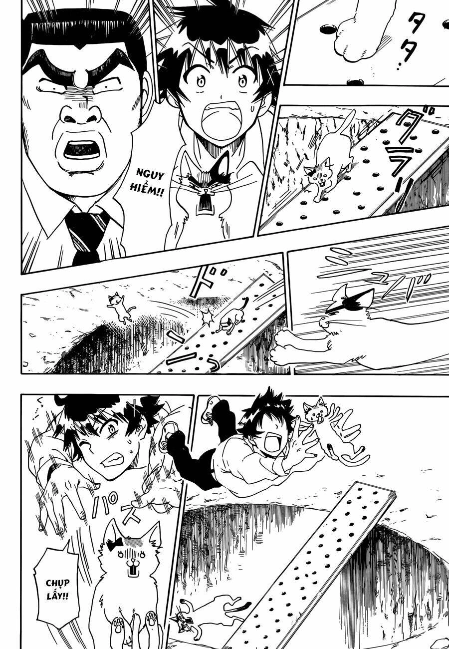 Tình Yêu Ngang Trái Chapter 88.5 - 5