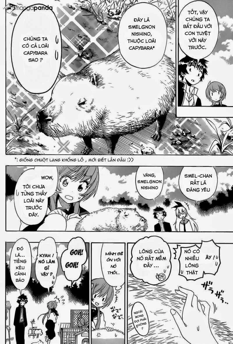 Tình Yêu Ngang Trái Chapter 142 - 6