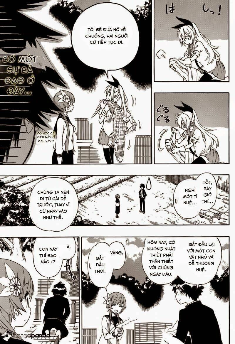 Tình Yêu Ngang Trái Chapter 142 - 13