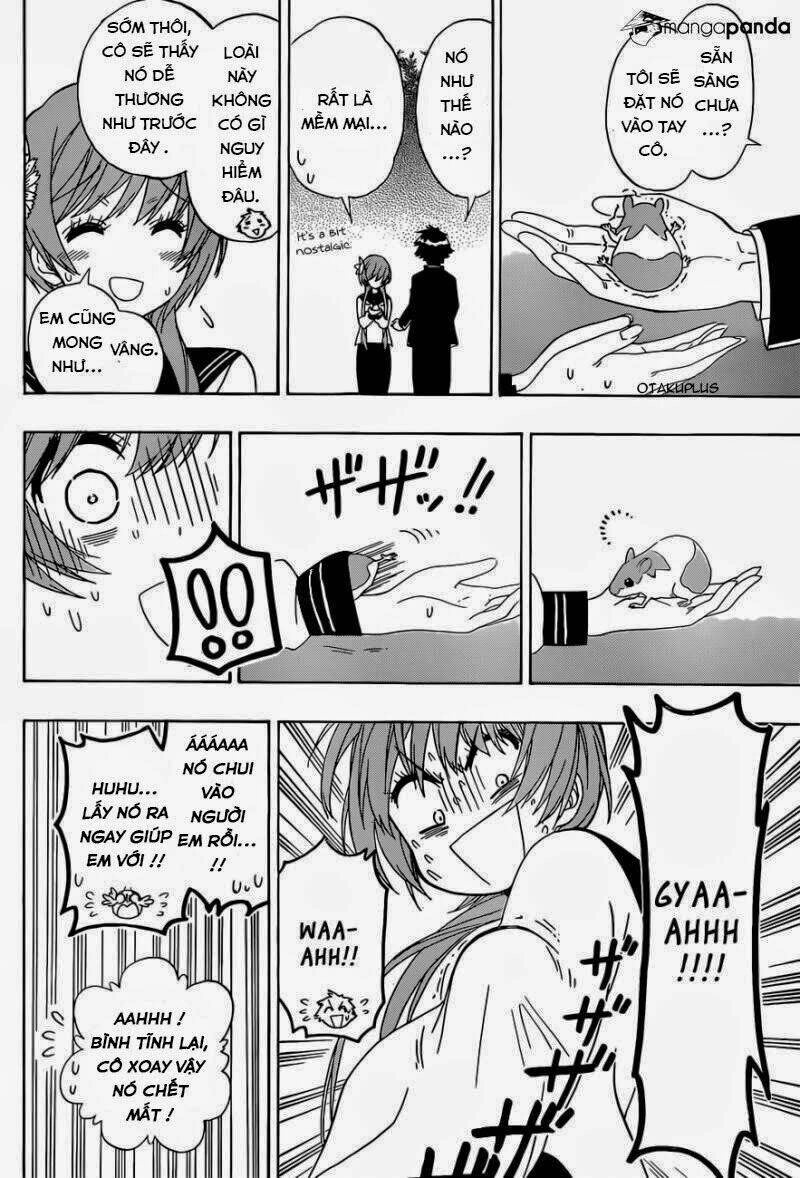 Tình Yêu Ngang Trái Chapter 142 - 16