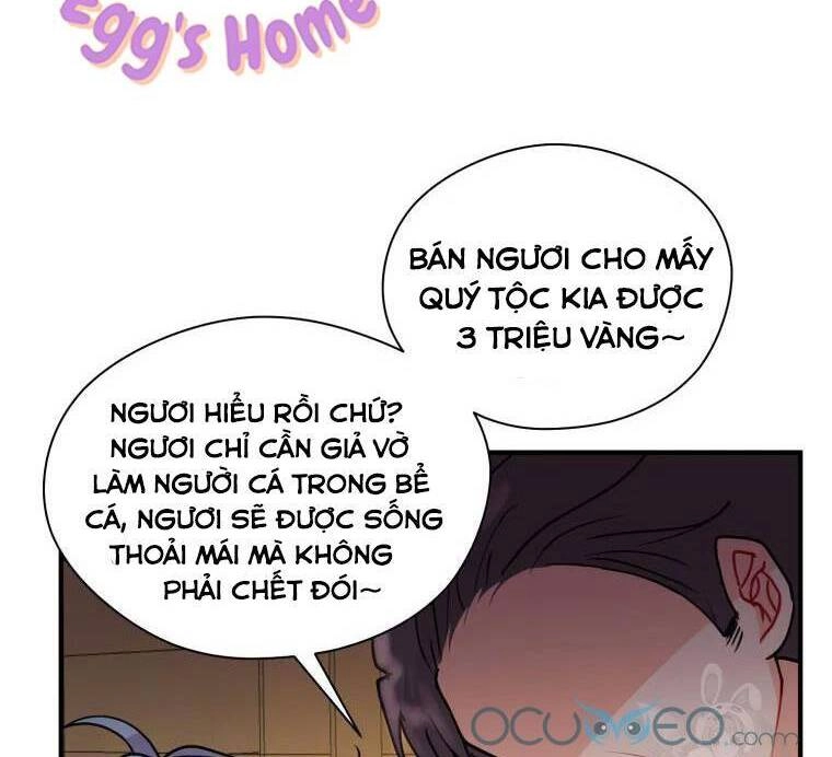 Roelin Bước Đến Tương Lai Chapter 13 - 47