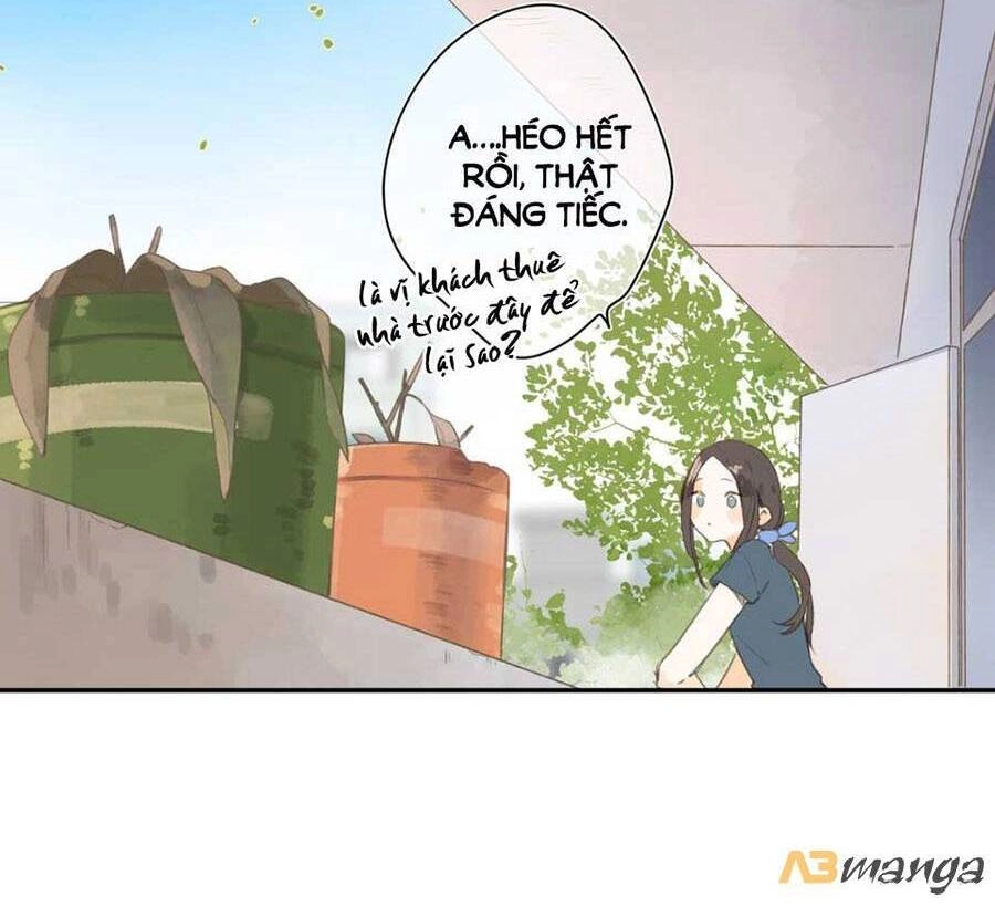 Tiệm Hoa Hướng Dương Góc Phố Chapter 1 - 19