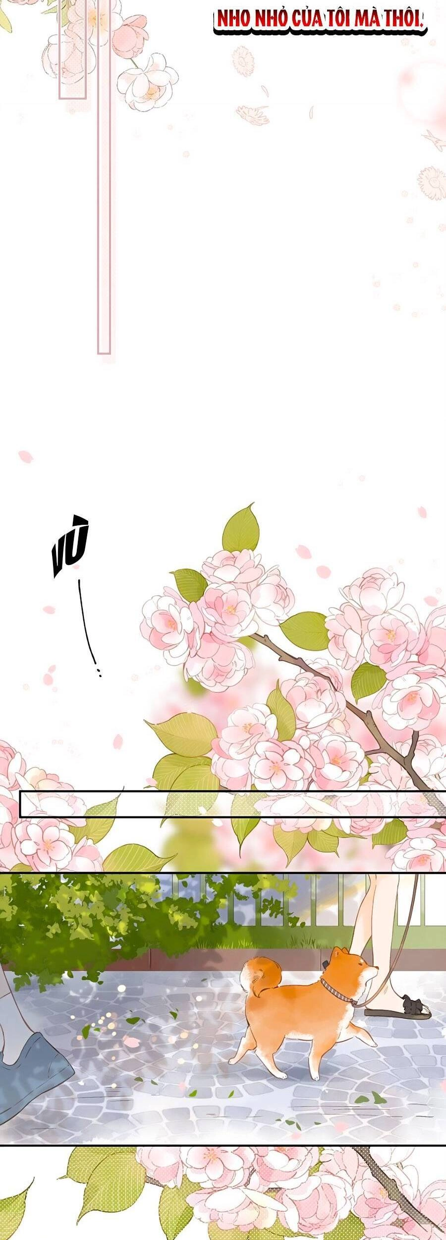 Tiệm Hoa Hướng Dương Góc Phố Chapter 5 - 42