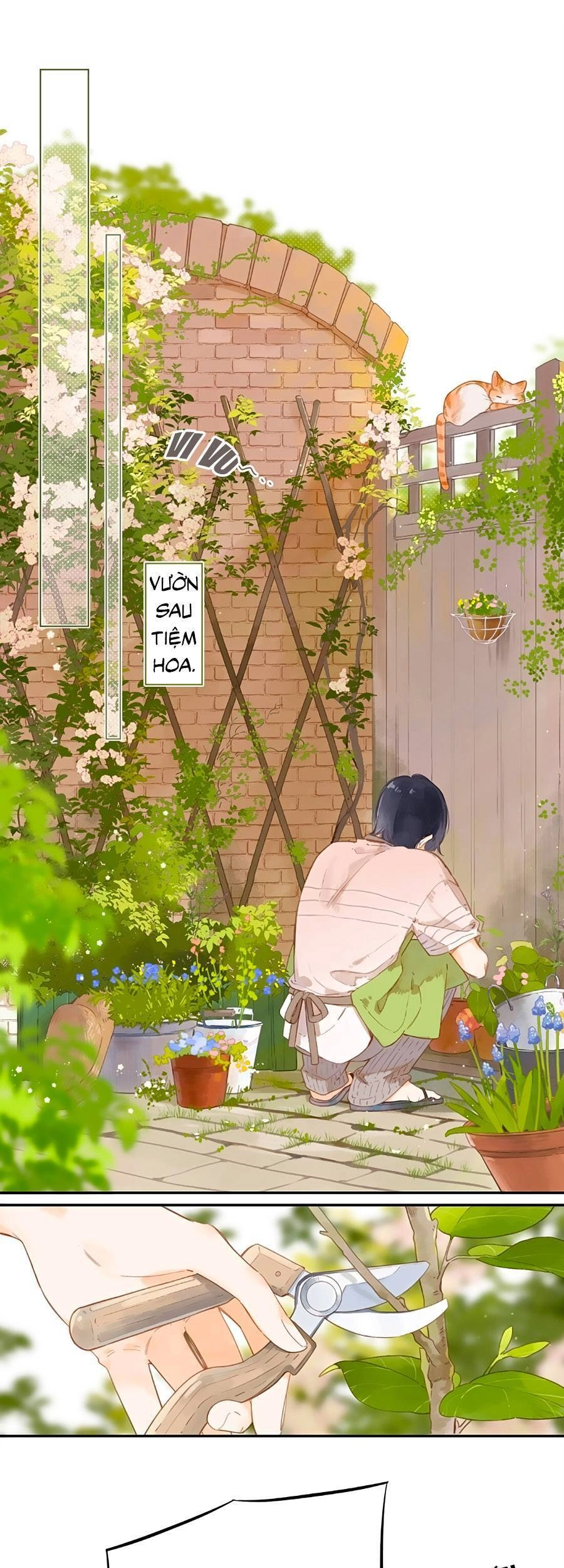 Tiệm Hoa Hướng Dương Góc Phố Chapter 9 - 2