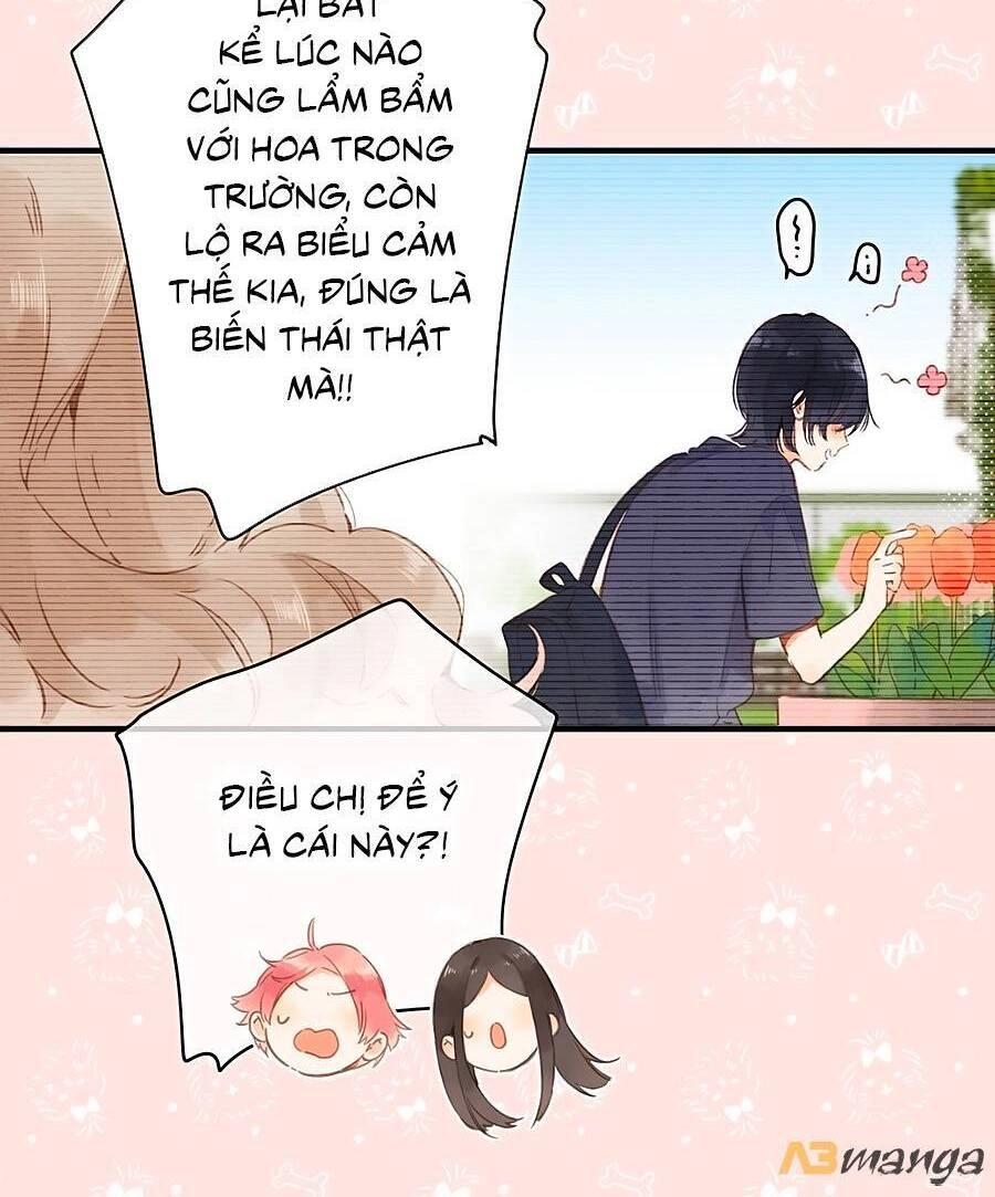 Tiệm Hoa Hướng Dương Góc Phố Chapter 15 - 12