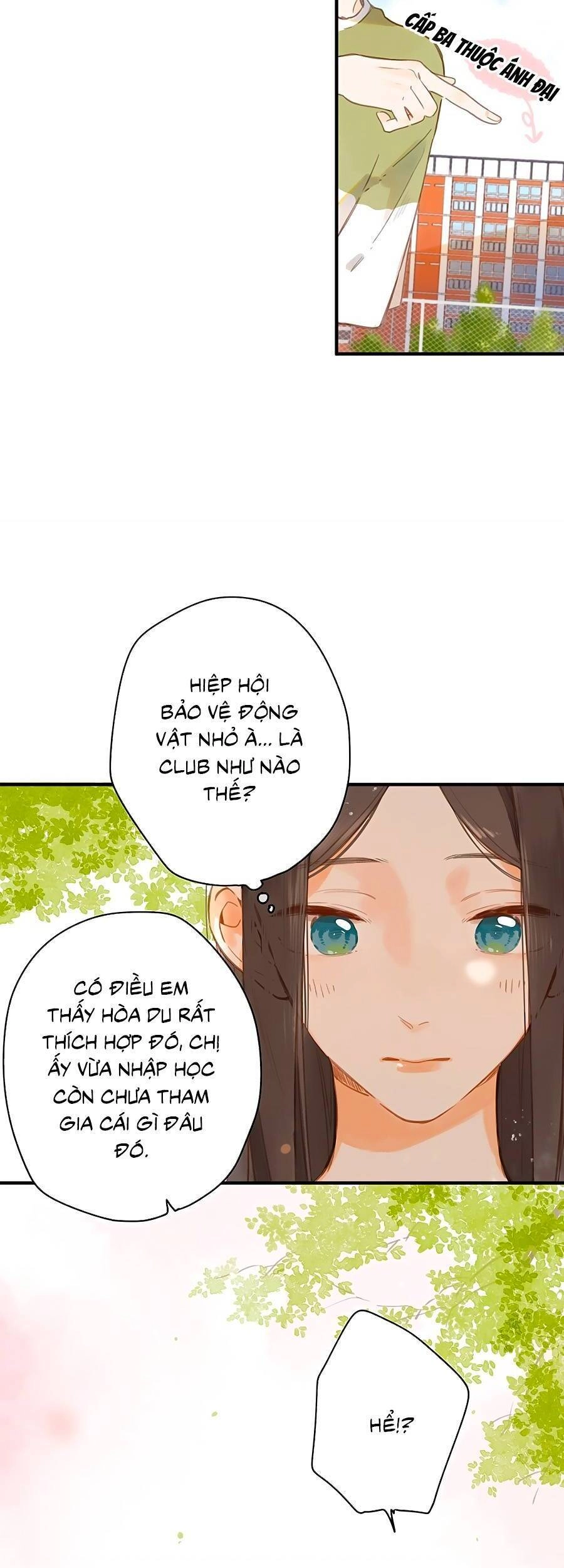 Tiệm Hoa Hướng Dương Góc Phố Chapter 15 - 22