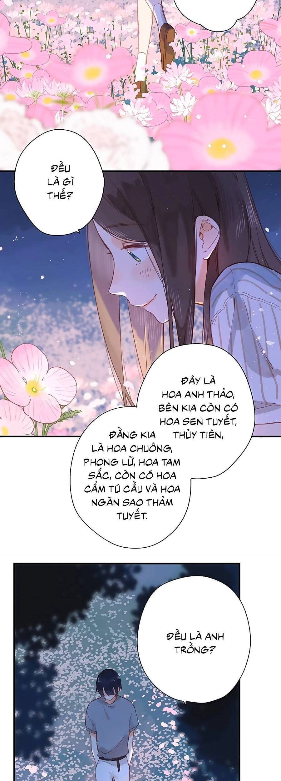 Tiệm Hoa Hướng Dương Góc Phố Chapter 20 - 10