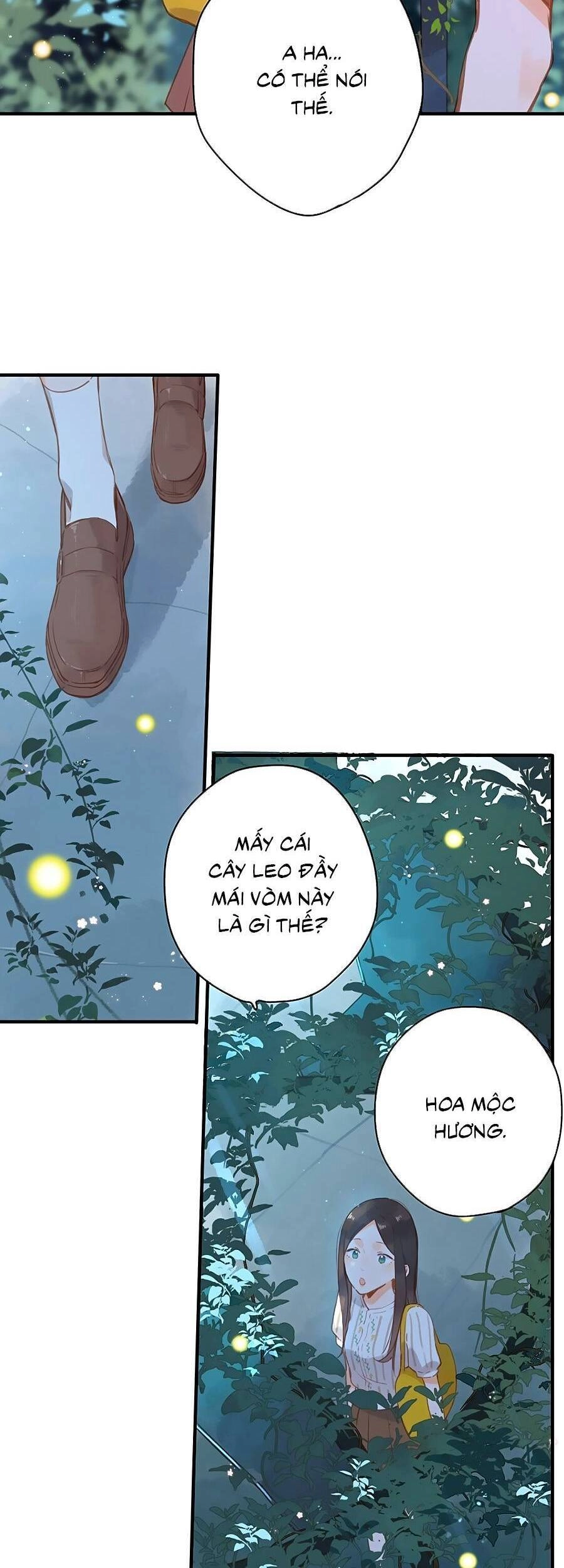 Tiệm Hoa Hướng Dương Góc Phố Chapter 20 - 15