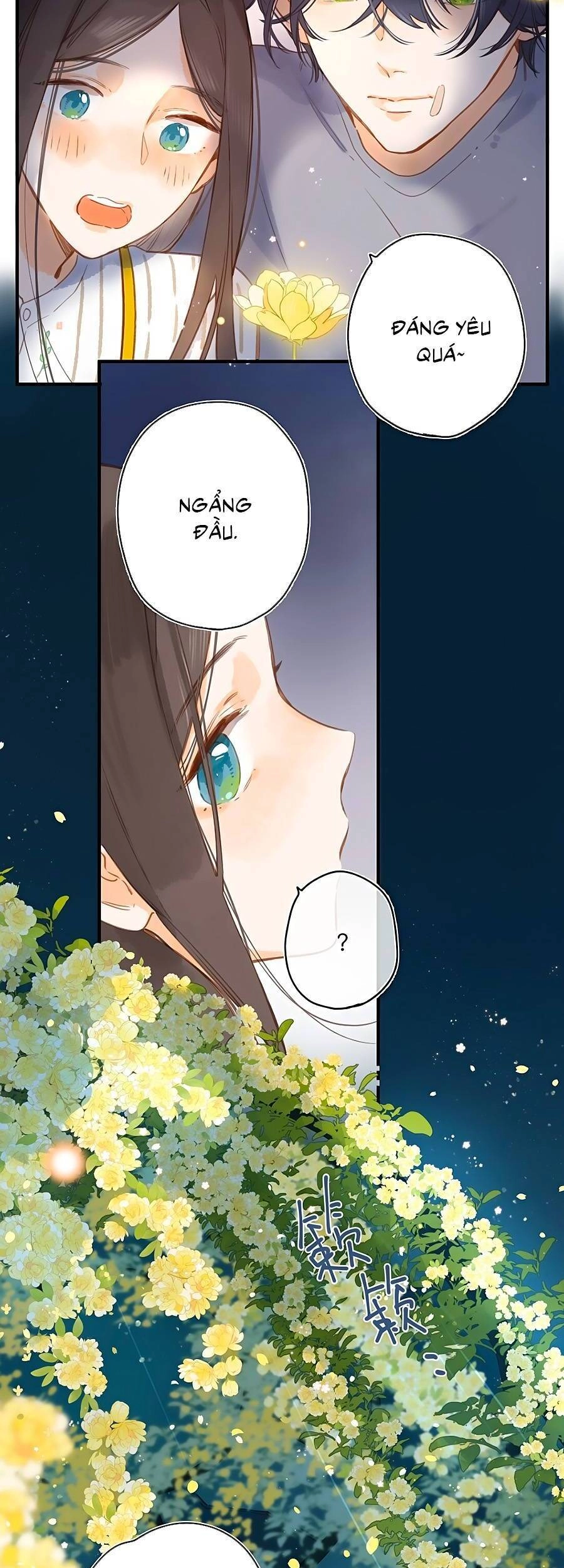 Tiệm Hoa Hướng Dương Góc Phố Chapter 20 - 22