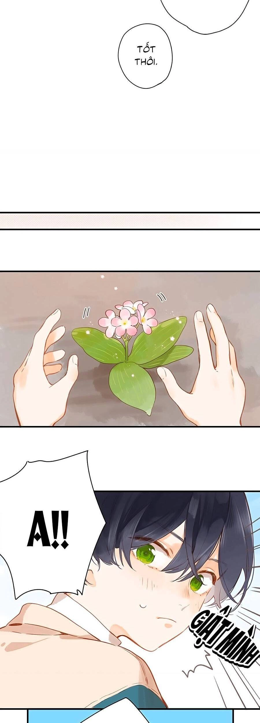 Tiệm Hoa Hướng Dương Góc Phố Chapter 21 - 23