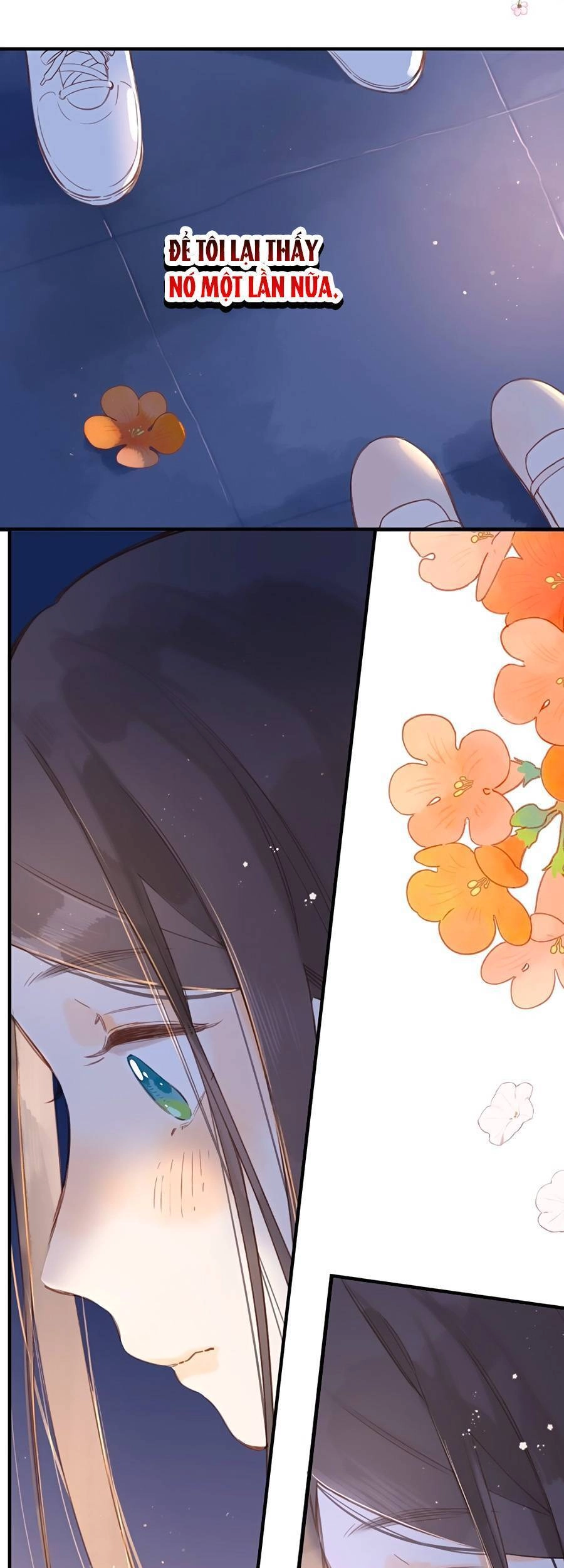 Tiệm Hoa Hướng Dương Góc Phố Chapter 37 - 25