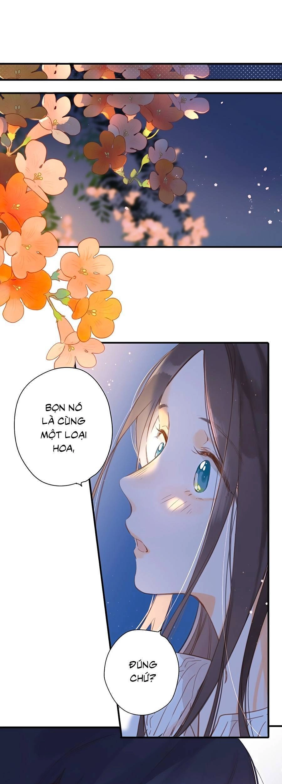 Tiệm Hoa Hướng Dương Góc Phố Chapter 37 - 28