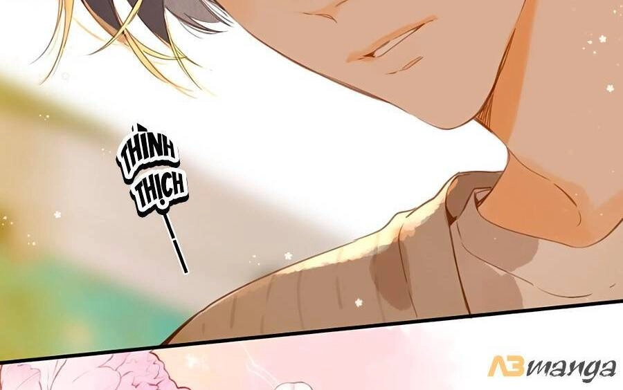 Tiệm Hoa Hướng Dương Góc Phố Chapter 41 - 17