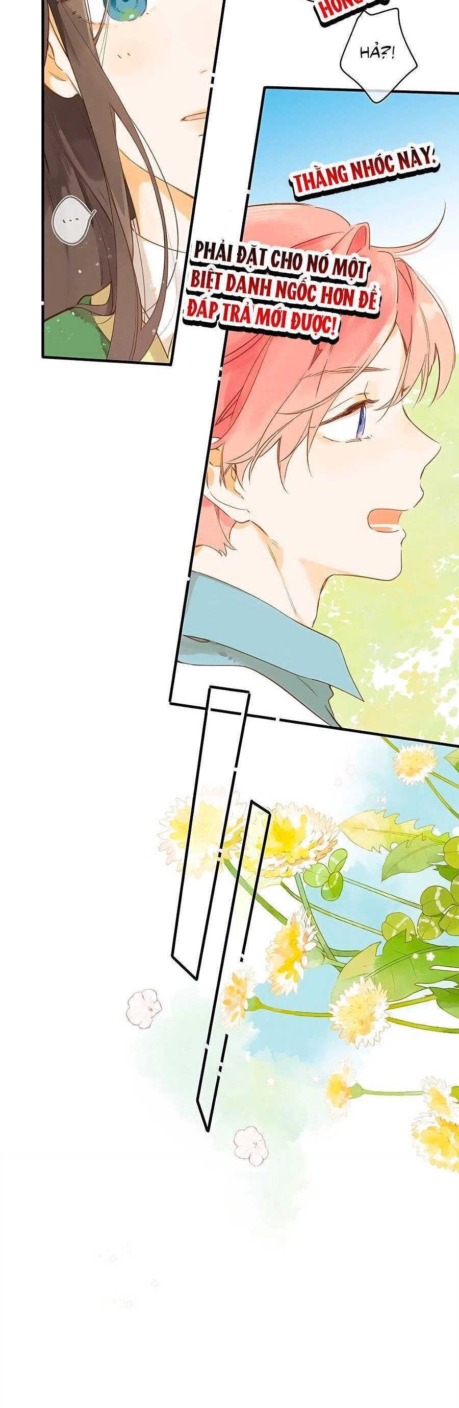 Tiệm Hoa Hướng Dương Góc Phố Chapter 43 - 15