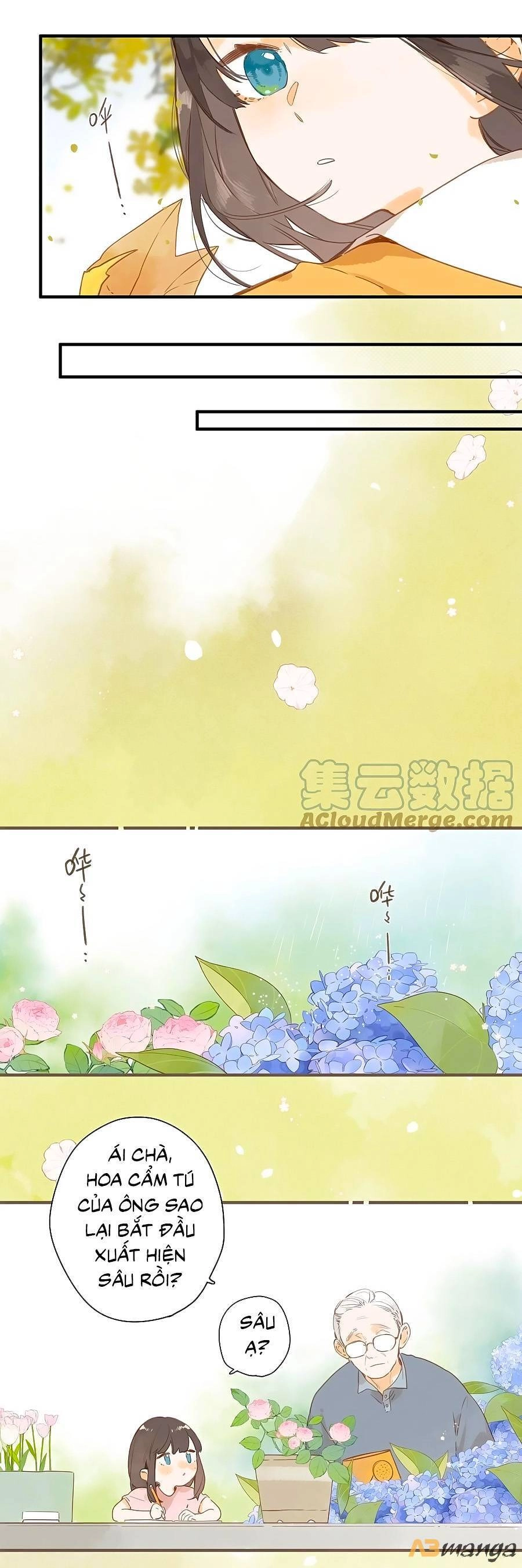 Tiệm Hoa Hướng Dương Góc Phố Chapter 45 - 7