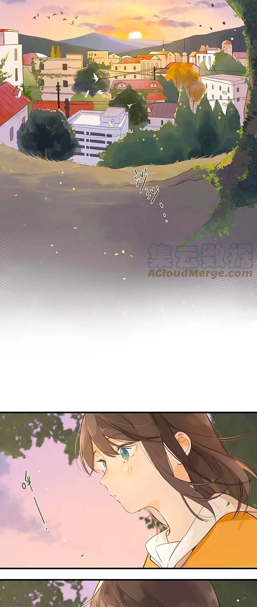 Tiệm Hoa Hướng Dương Góc Phố Chapter 46 - 5