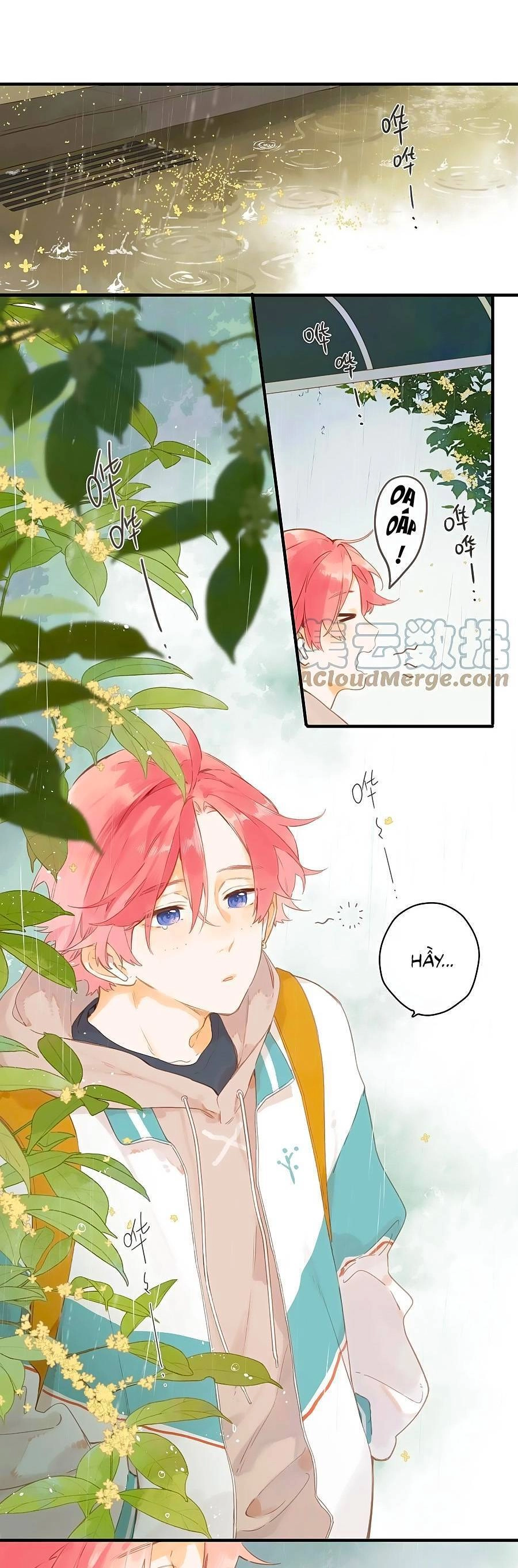 Tiệm Hoa Hướng Dương Góc Phố Chapter 48 - 2