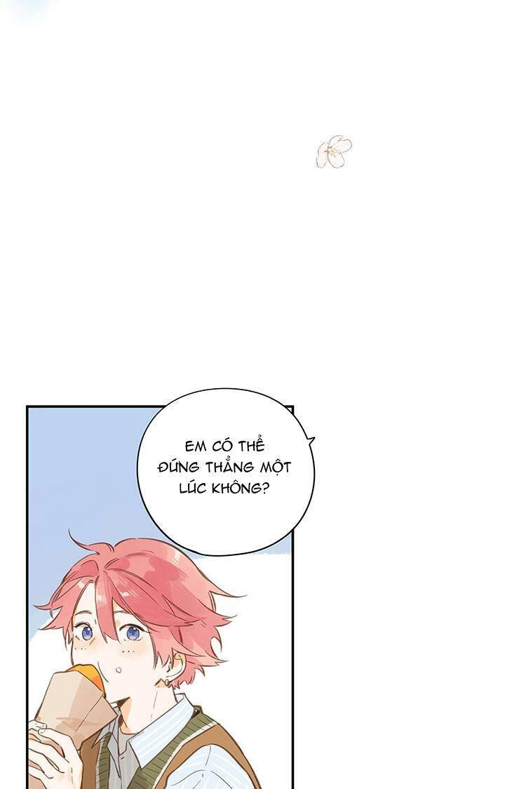 Tiệm Hoa Hướng Dương Góc Phố Chapter 56 - 34